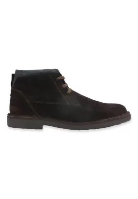 CAFENOIR Stringata Stile Clark Uomo Testa di Moro TE6000