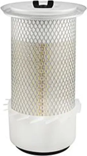 FILTRO ARIA BALDWIN PA2976FN